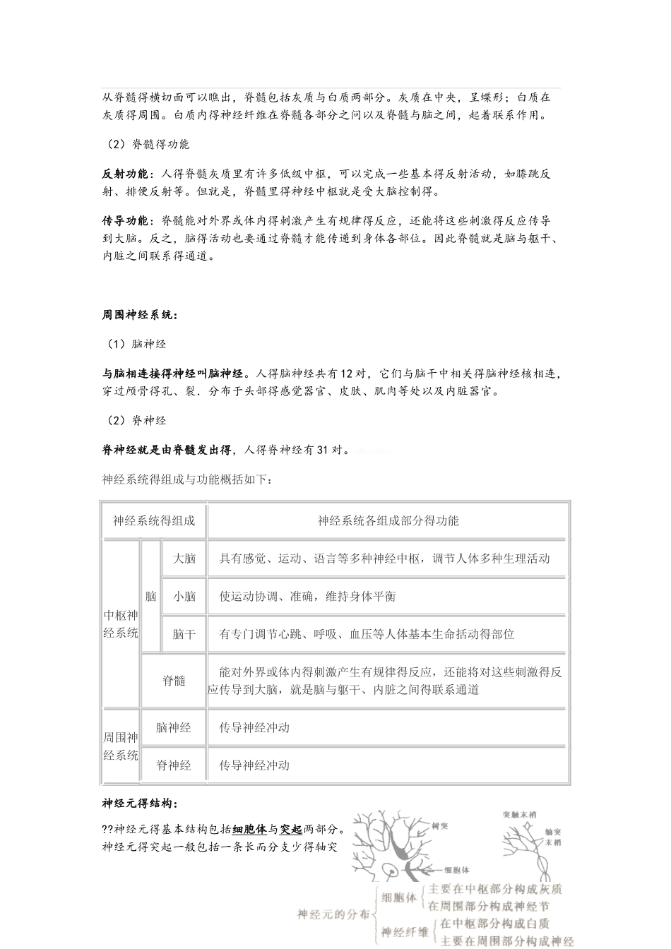 神经系统的组成和功能_第2页
