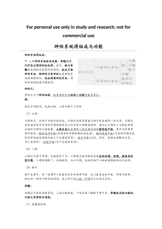 神经系统的组成和功能