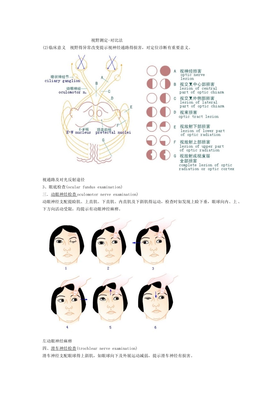 神经系统查体图文详解_第3页