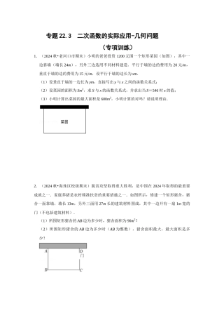 25-26学年人教九年级数学上册专项训练测试-专题22.3  二次函数的实际应用-几何问题（附名师详解）