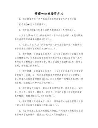 管理性违章处罚办法