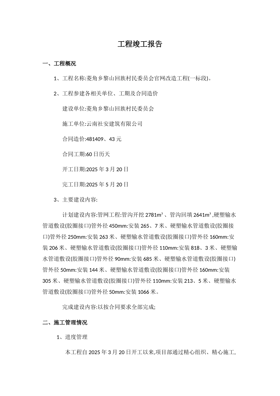 管网工程竣工验收报告_第1页