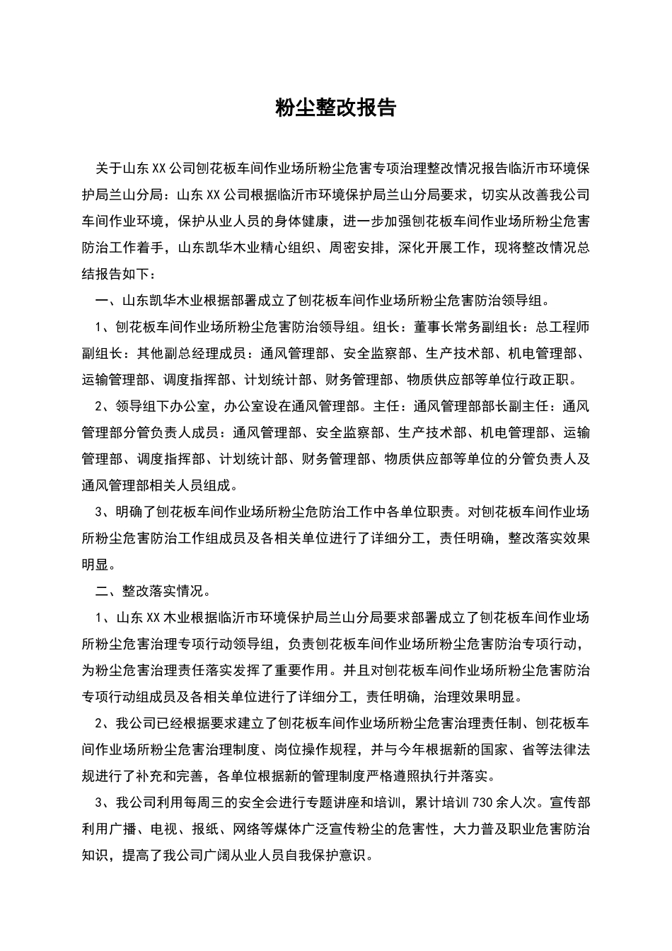 粉尘整改报告_第1页