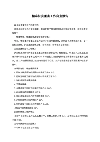 精准扶贫重点工作自查报告