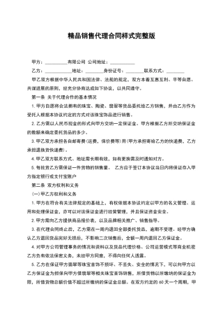 精品销售代理合同样式完整版