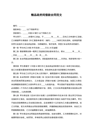 精品政府间借款合同范文
