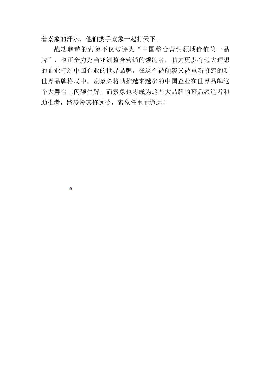 索象营销策划——亚洲整合营销领跑者_第3页