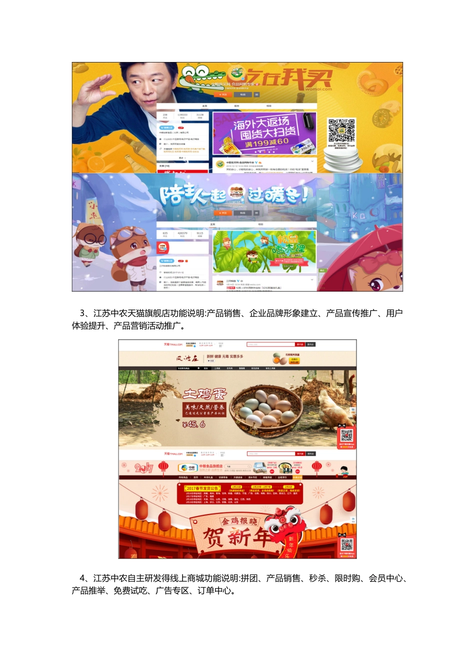 线上营销渠道建立方案_第3页