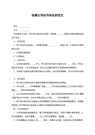 组建公司合作协议的范文