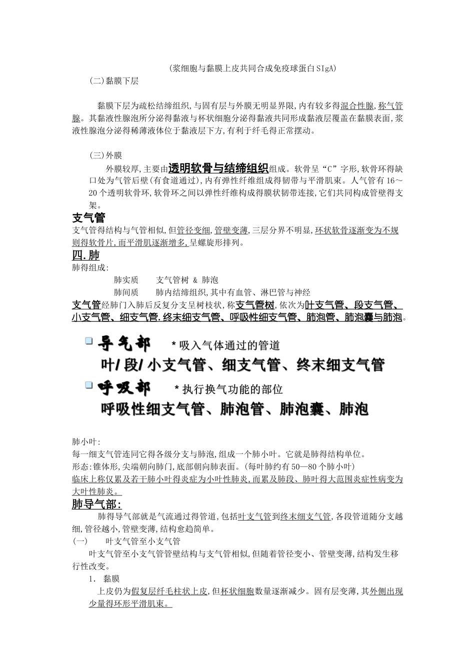组织胚胎学总结-呼吸系统_第3页