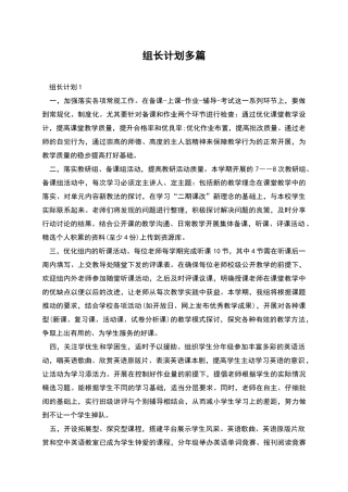 组长计划多篇