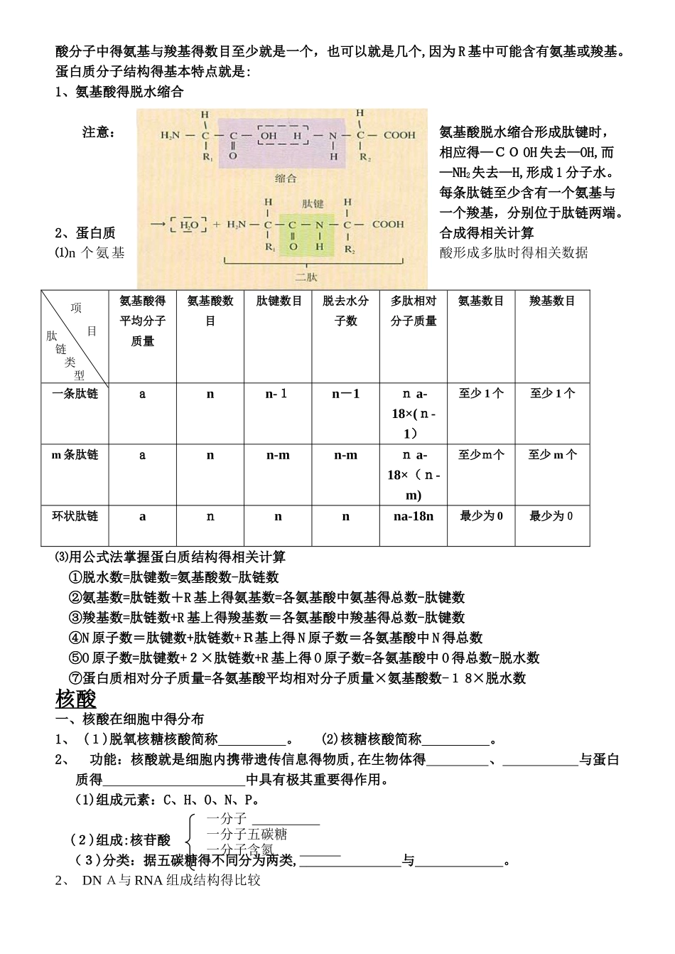 细胞中的元素和化合物 知识点汇总_第3页