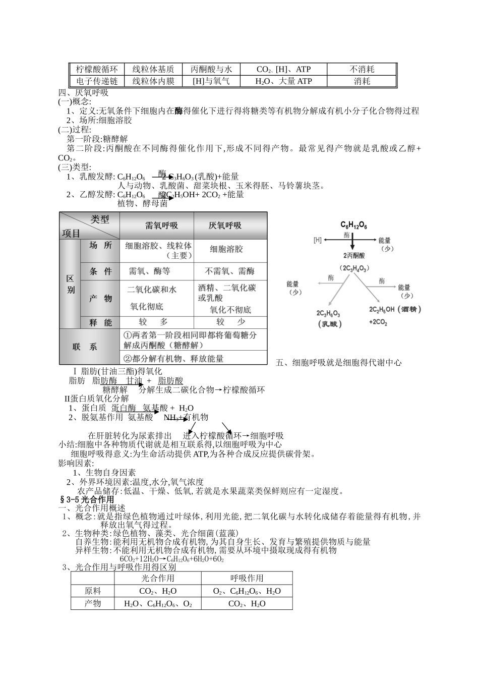 细胞代谢-知识整理_第3页