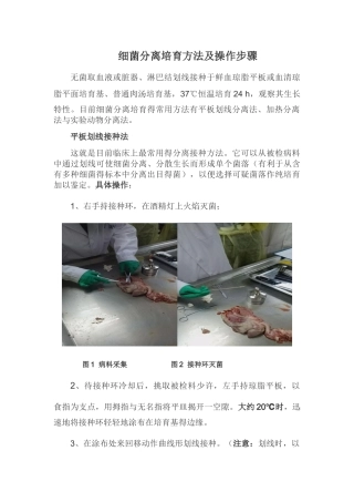 细菌分离培养及药敏试验方法及步骤