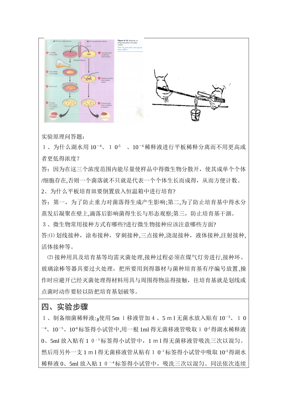 细菌的分离纯化和接种实验_第3页