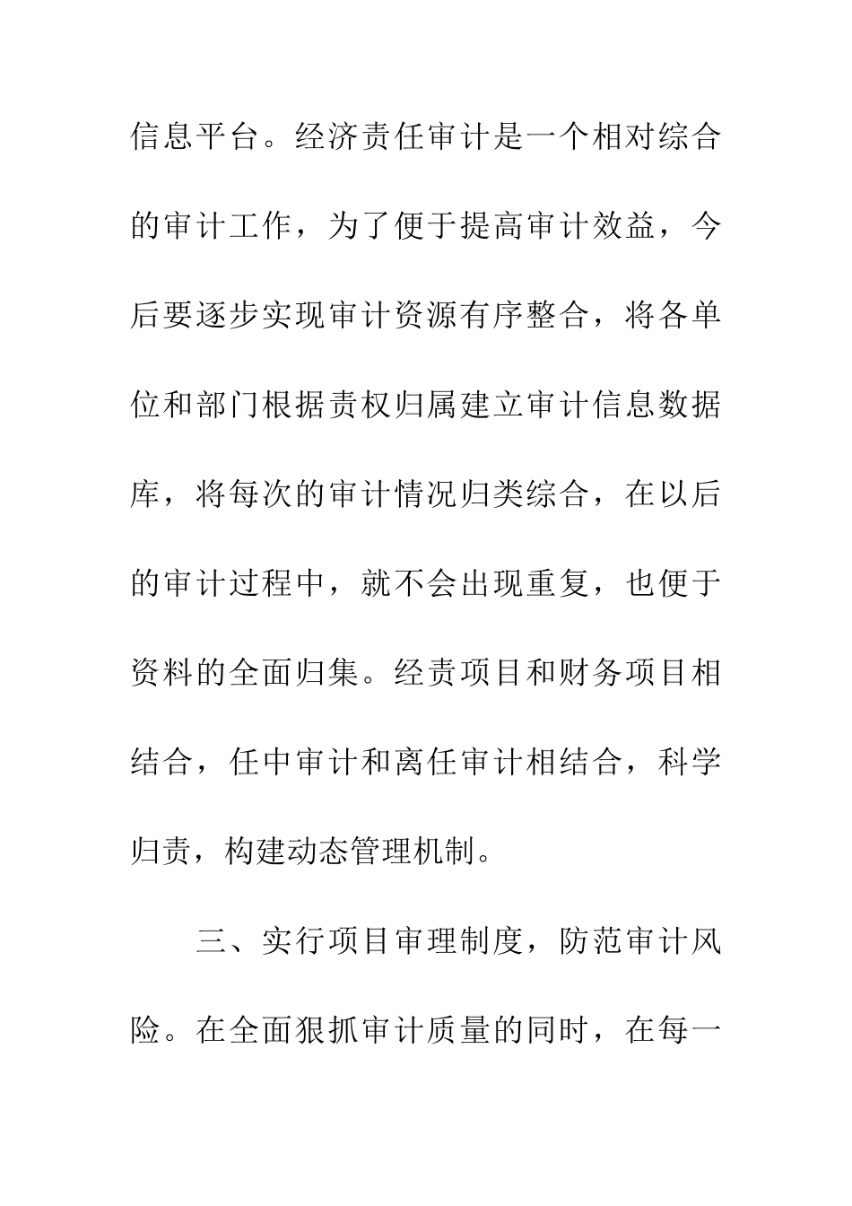经济责任审计工作“十三五”工作计划_第3页
