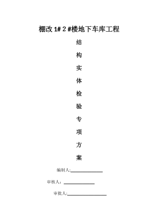 结构实体检验专项方案新