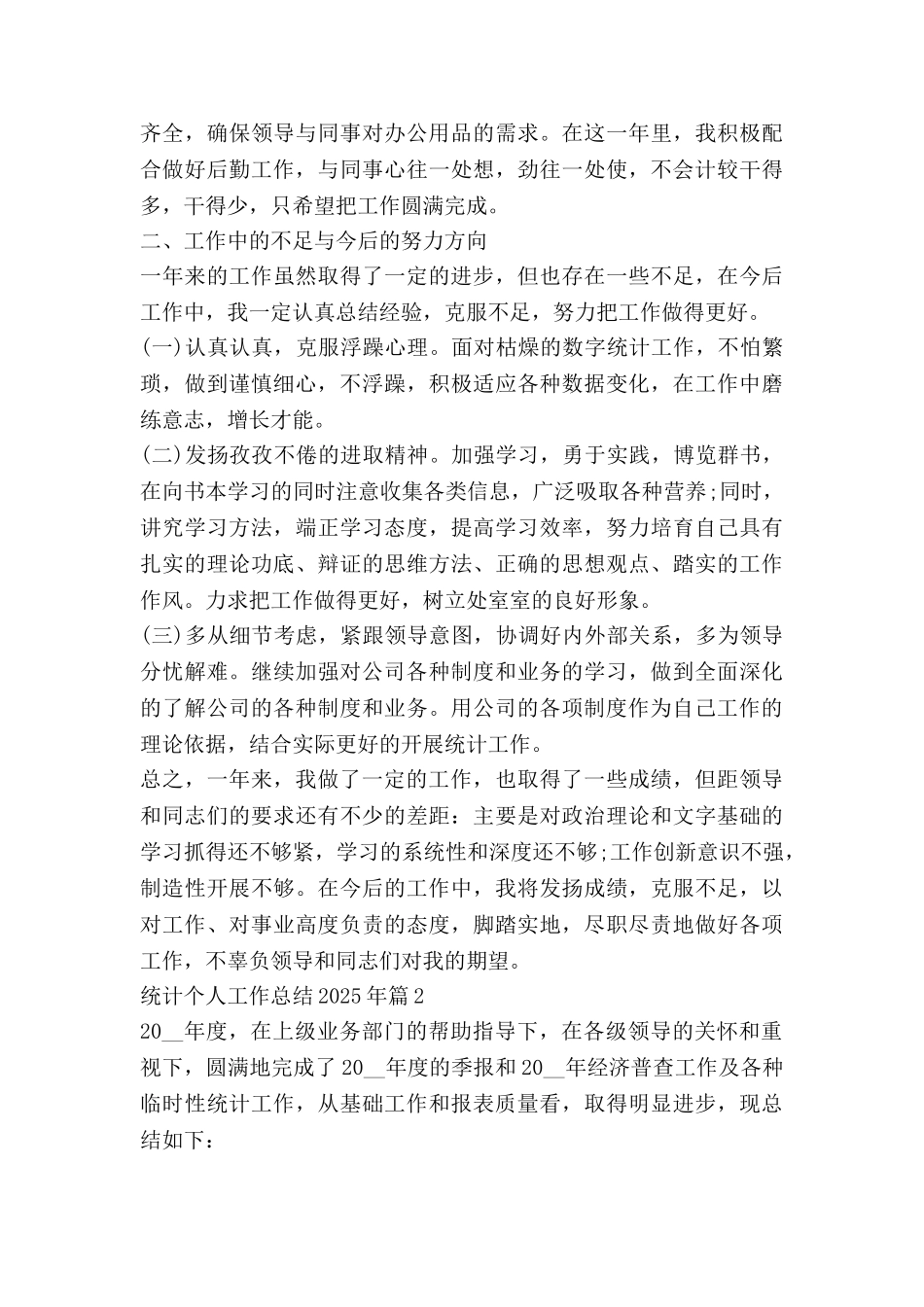 统计个人工作总结2025年通用5篇_第2页