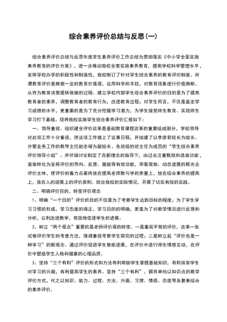 综合素质评价总结与反思