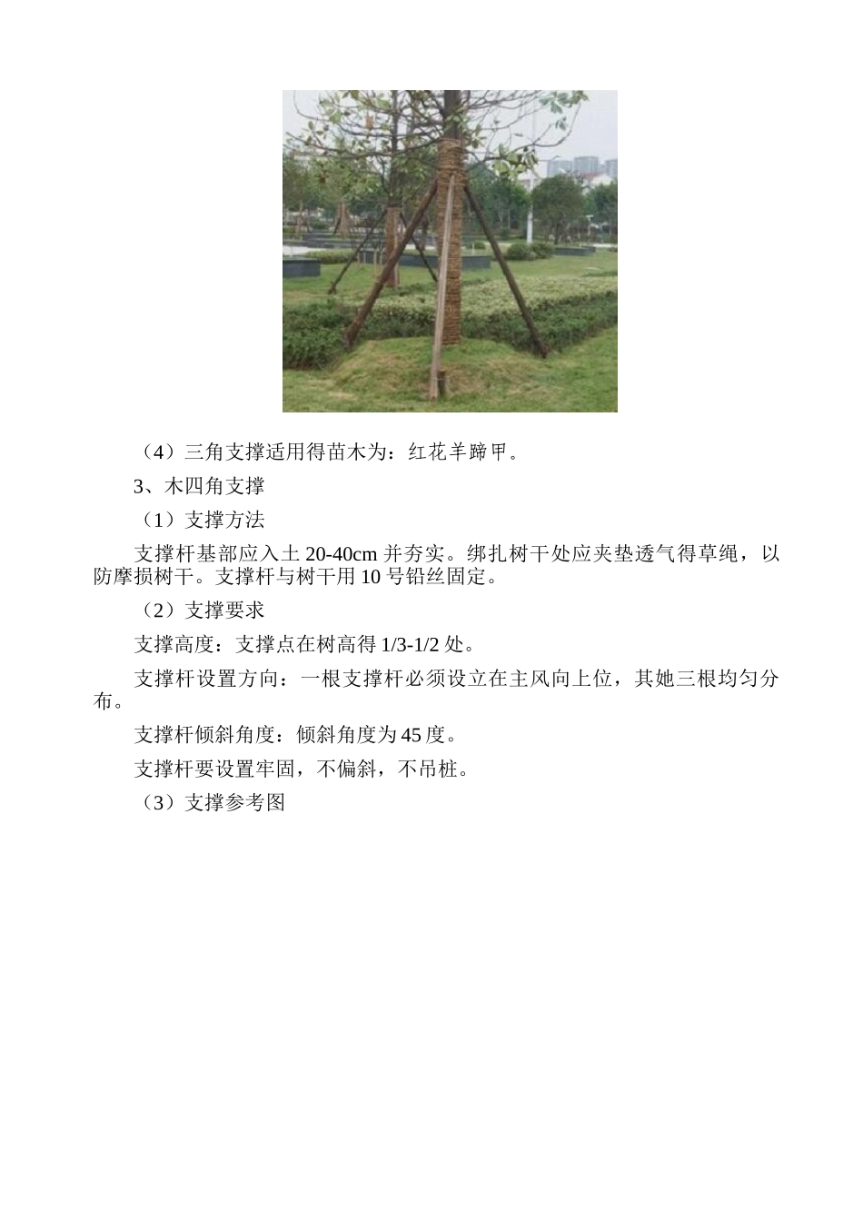 绿化支撑方案_第3页