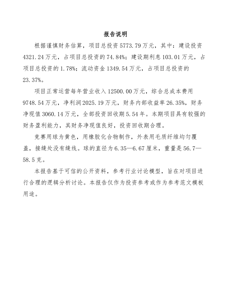 网球项目可行性分析报告参考范文_第2页