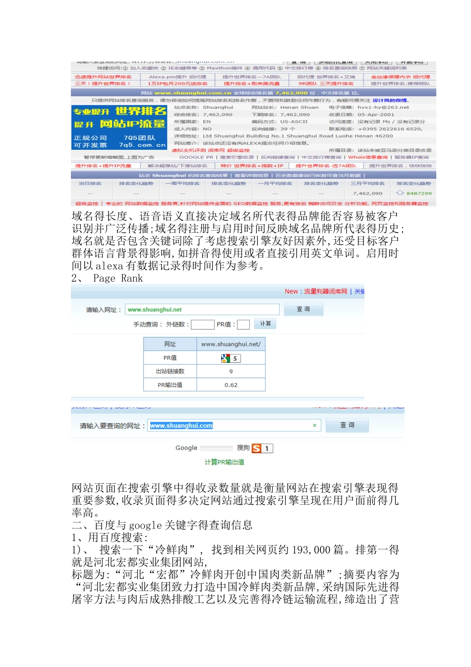 网站诊断报告书_第2页