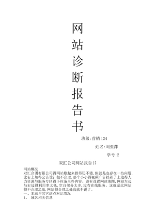 网站诊断报告书