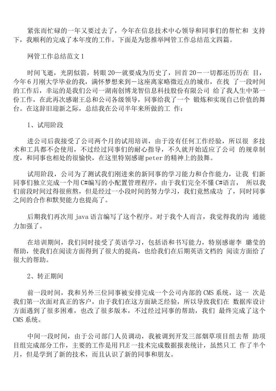 网管工作总结范文_第1页