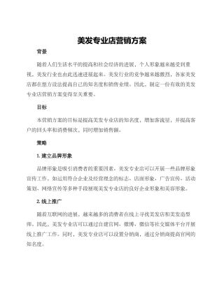 美发专业店营销方案