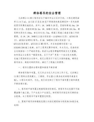 群体塔吊的安全管理