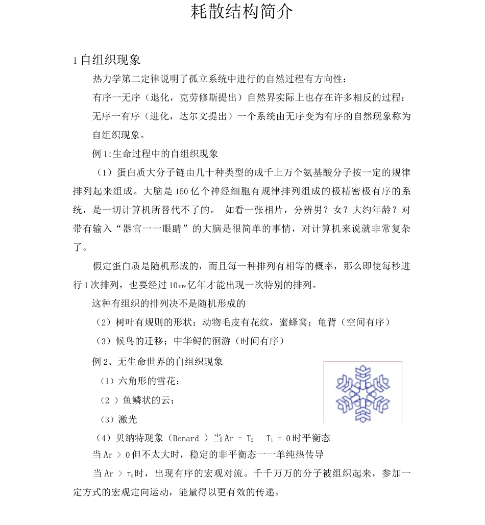 耗散结构简介_第1页