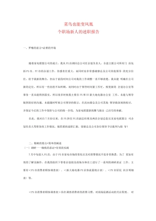 职场新人的述职报告