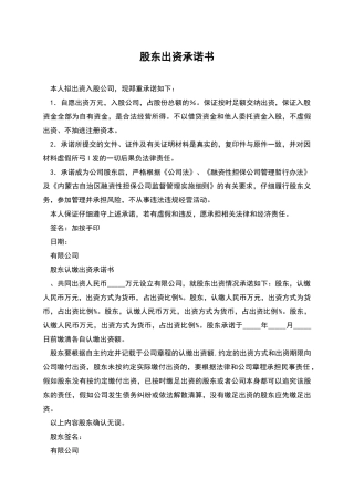 股东出资承诺书