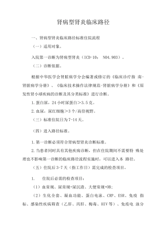 肾病型肾炎临床路径