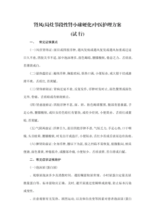 肾风中医护理方案