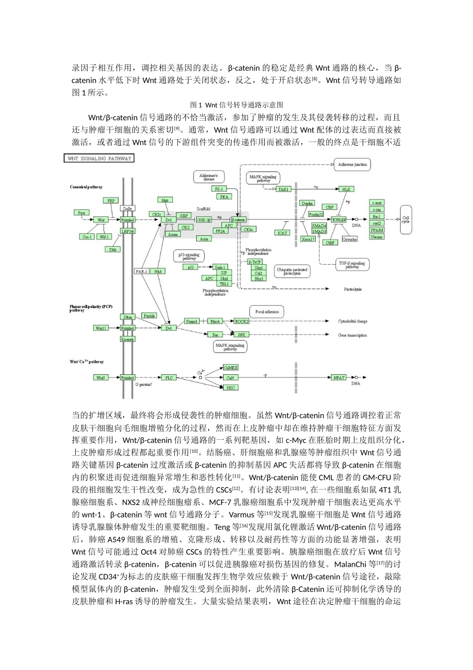 肿瘤干细胞的信号转导通路及其药物进展_第2页
