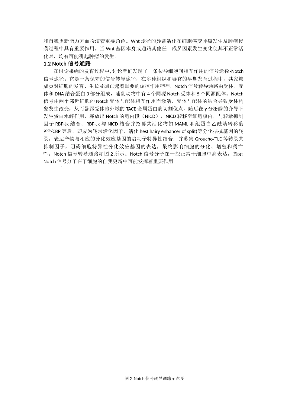 肿瘤干细胞的信号转导通路及其药物进展_第3页