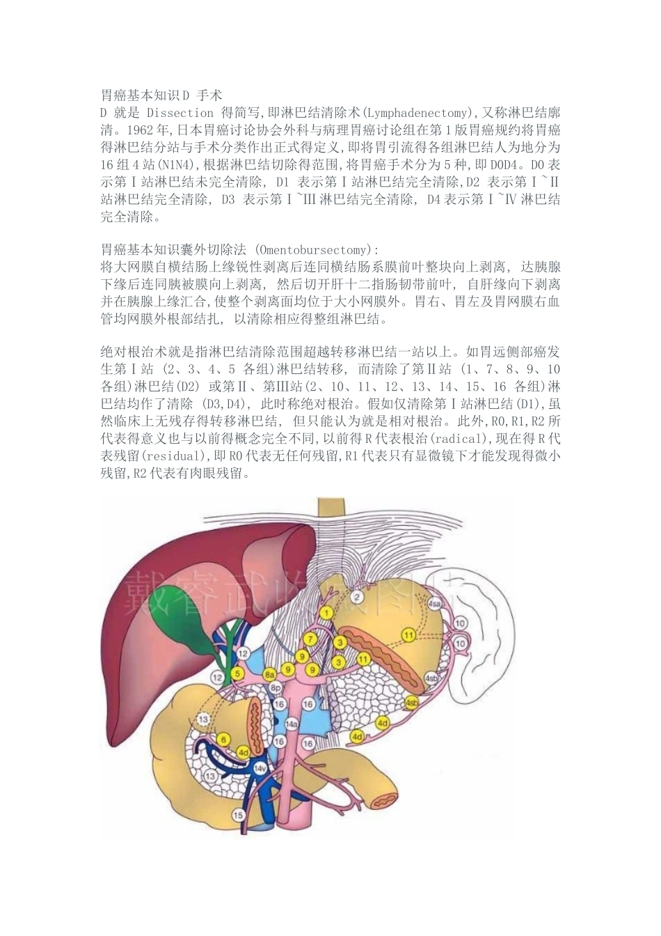 胃癌清扫淋巴结分组图_第2页