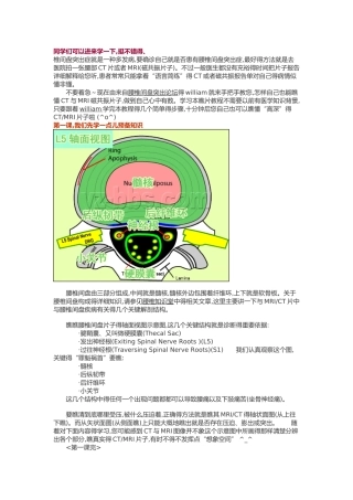 腰椎MR-一瞧就会