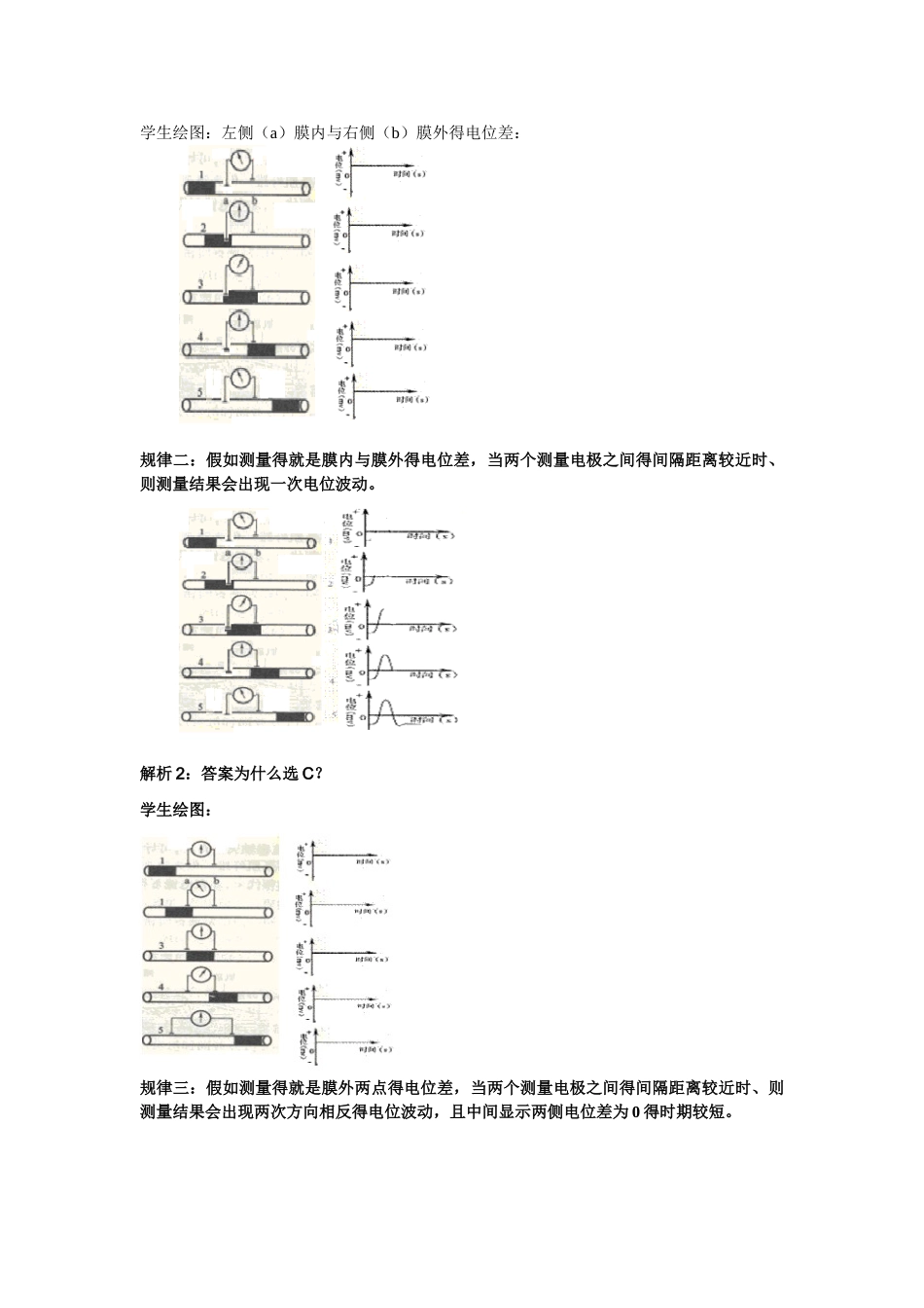 膜电位变化及其测量_第3页