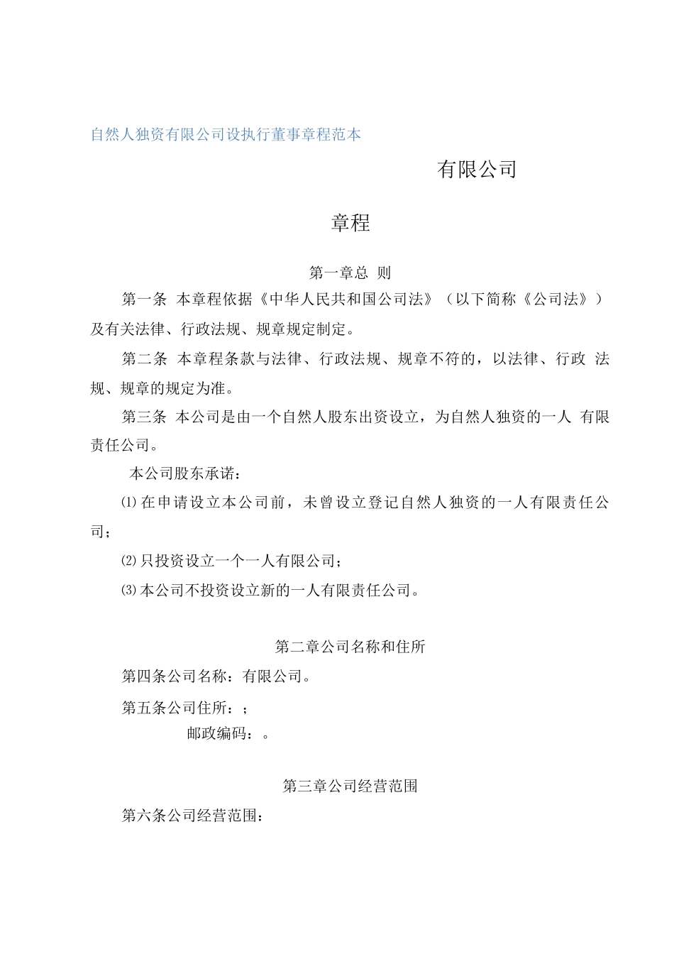 自然人独资有限公司设执行董事章程(2025修订)_第1页