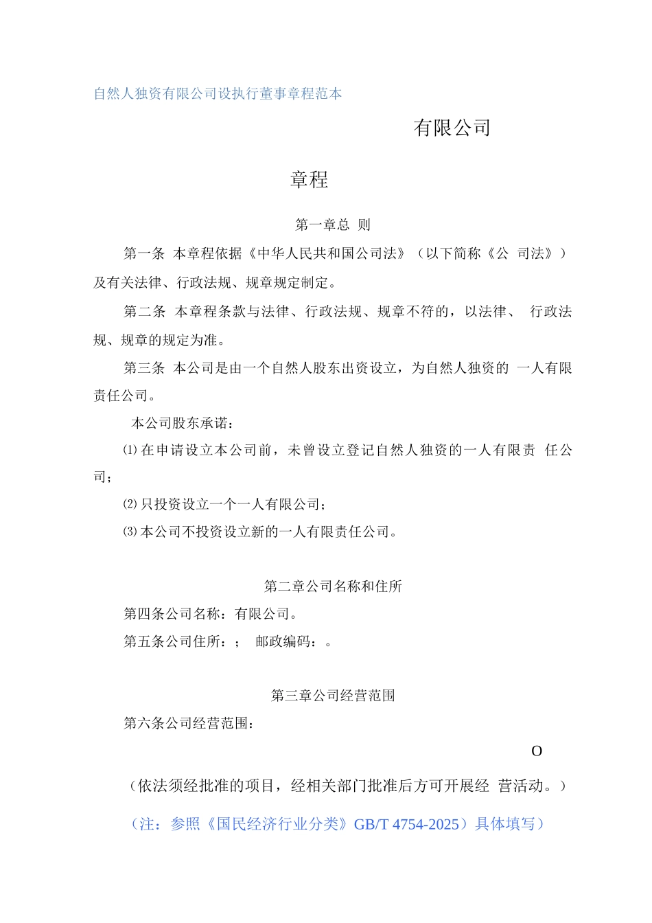自然人独资有限公司设执行董事章程_第1页