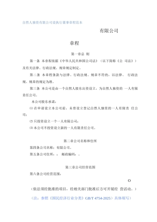 自然人独资有限公司设执行董事章程