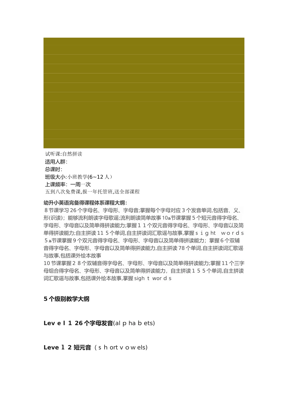 自然拼读教学大纲_第1页