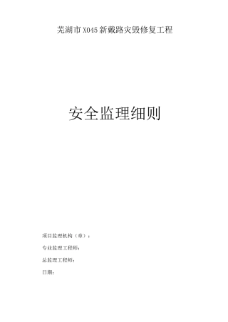芜湖市新戴路安全监理细则