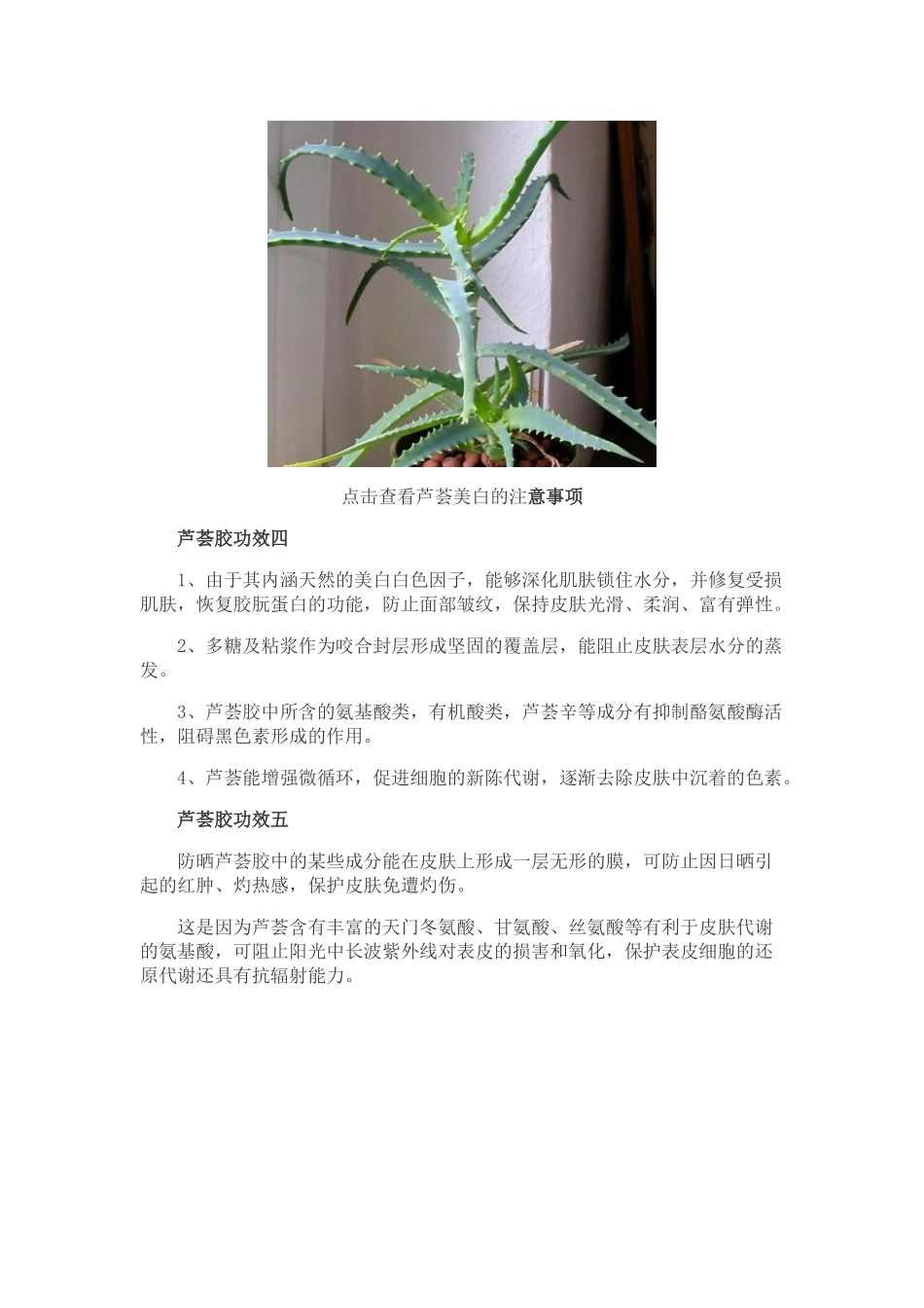 芦荟胶的功效与作用--芦荟胶美容美白最佳方案_第3页