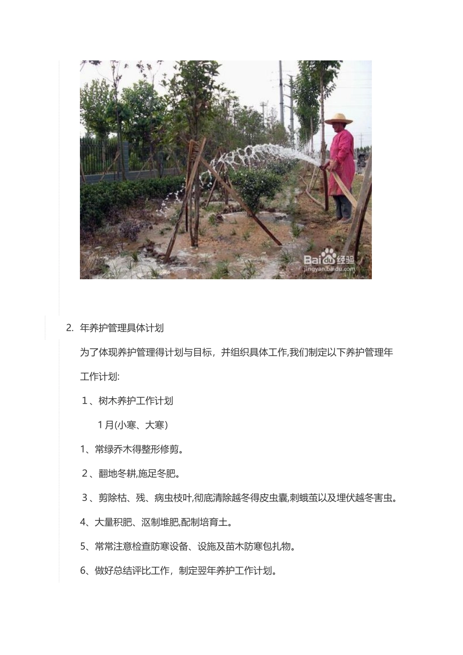 苗木养护计划方案_第3页