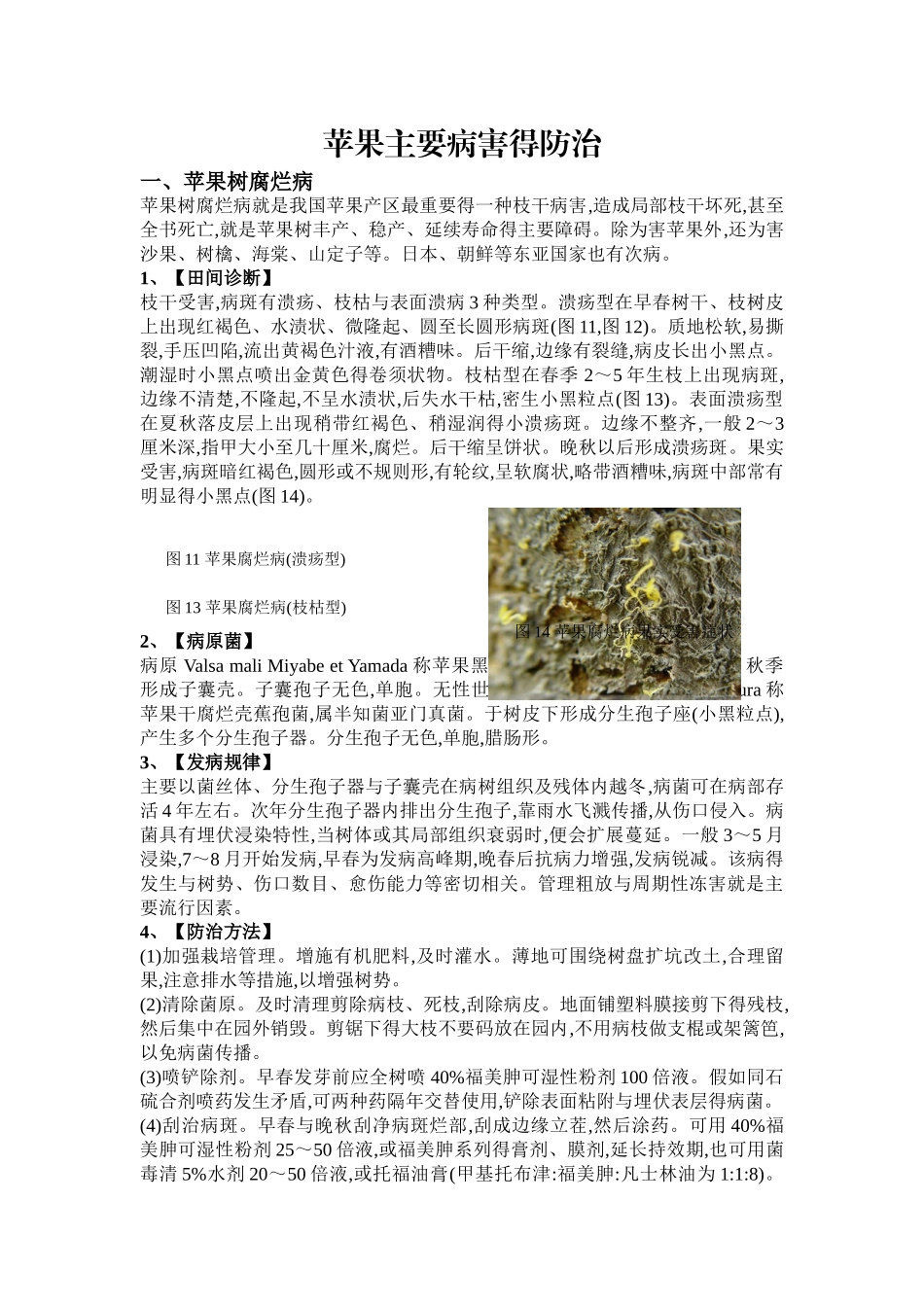 苹果树主要病虫害及防治方法_第1页