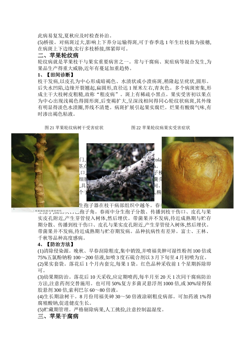 苹果树主要病虫害及防治方法_第2页