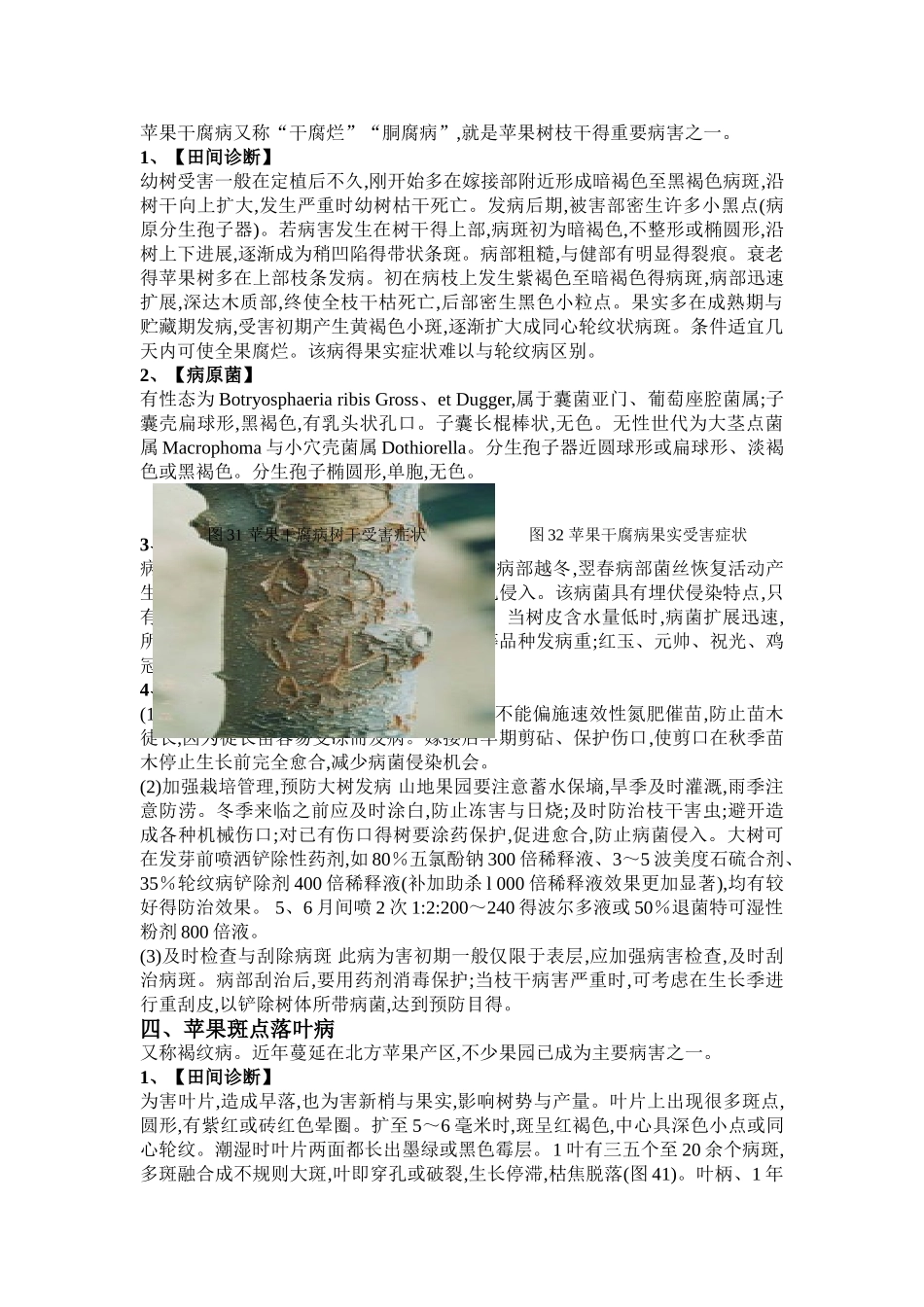 苹果树主要病虫害及防治方法_第3页